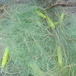 Причиной конфликта стали изъятые сети