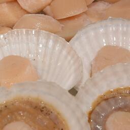 Гребешок — один из популярных в России морепродуктов. Архивное фото