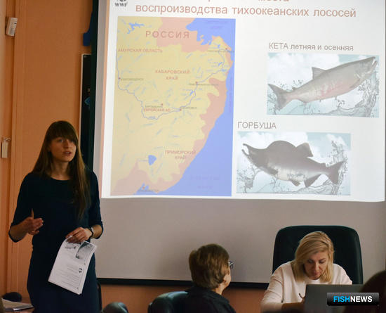 О лососях Амура рассказывает Ольга Квитко, координатор проектов по ООПТ Амурского филиала WWF России. Фото пресс-службы WWF