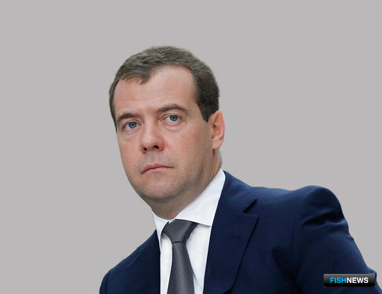 Премьер-министр Дмитрий МЕДВЕДЕВ. Фото из открытых источников