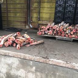 В Дагестане рыбоохрана и полицейские изъяли партию «краснокнижных» осетровых общим весом свыше 650 кг. Фото пресс-службы Западно-Каспийского теруправления Росрыболовства