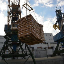 Приемка и перегрузка рыбопродукции во Владивостоке. Фото пресс-службы ОАО «Океанрыбфлот»