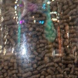 Форелевый корм. Архивное фото