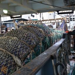 Рыбный промысел на Дальнем Востоке. Фото пресс-службы «Океанрыбфлота»