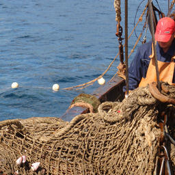 Рыбный промысел на Дальнем Востоке. Архивное фото