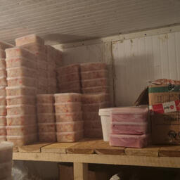 Нелегальную крабовую продукцию правоохранители обнаружили в морозильных камерах и холодильной комнате домовладения в поселке Крутогоровский. Фото пресс-службы УМВД России по Камчатскому краю