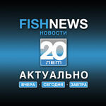 2010-е прошли в рыбной отрасли России под знаком инициатив о поддержке строительства промысловых судов за счет квот