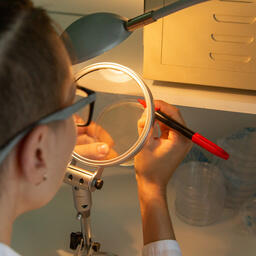 Результаты оздоровления «Воронежского моря» оценят специалисты. Архивное фото 