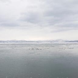 Общий допустимый улов — важнейшие цифры для организации рыболовства. Архивное фото