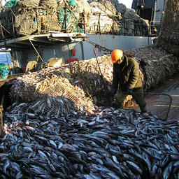 Рыбаки настроены продолжать диалог с федеральными органами