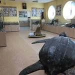 Музей истории рыбохозяйственной науки на Дальнем Востоке в ТИНРО в нынешнем облике существует 10 лет