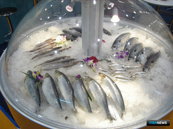 13-я Международная выставка «China Fisheries & Seafood Expo». Циндао, ноябрь 2008 г.