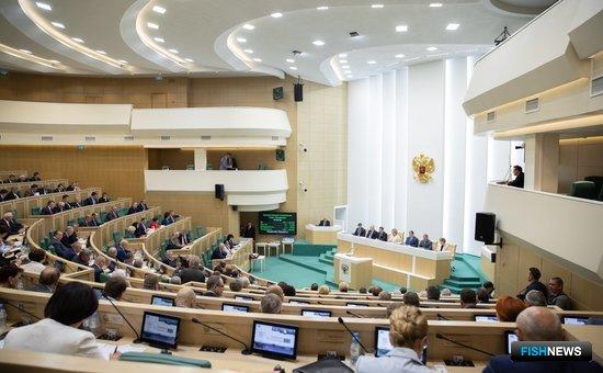 Заседание Совета Федерации 20 июня. Фото пресс-службы СФ