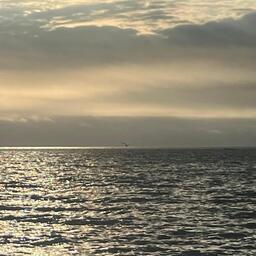 Рыбопромышленников беспокоят изменения в таможенной сфере