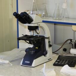 Запасы анадары в Азовском море будет проще оценивать