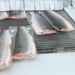 Производство продукции из лосося на заводе в Чили