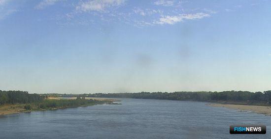 Река Ахтуба. Фото High Contrast («Википедия»)