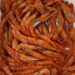 Специалисты собирали материал по биологии креветки и промысловой статистике ее уловов. Фото пресс-службы МагаданНИРО