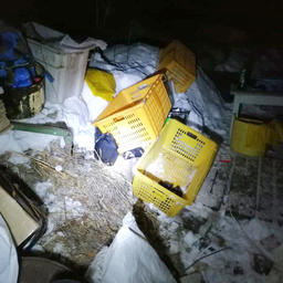 Промысловые корзины и другая тара, найденная в лесном «цеху». Фото пресс-группы Погрануправления ФСБ России по Приморскому краю