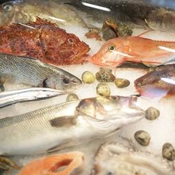 На Seafood Expo Eurasia представили богатый ассортимент рыбы и морепродуктов. Фото пресс-службы ESG