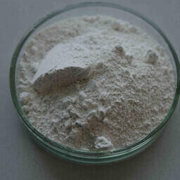 Образец биоразлагаемого пластика. Фото Анастасии Тамаровской, пресс-служба СО РАН, www.sbras.info