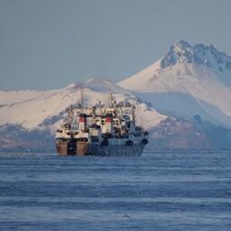 Рыбный промысел на Дальнем Востоке. Фото предоставлено «Океанрыбфлотом»