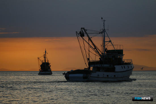 Суда прибрежного рыболовства