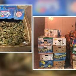 Мужчина обвиняется в нелегальном обороте живых раков. Фото пресс-службы СУ СК России по Астраханской области