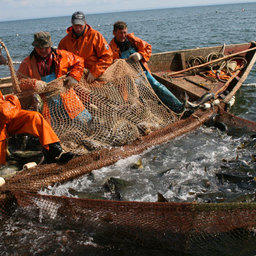 Налоговые льготы для рыбаков грозят отменить