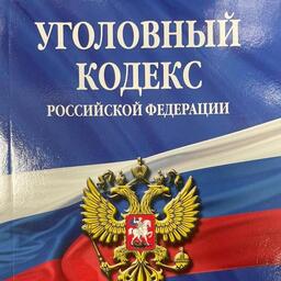 Индивидуальному предпринимателю инкриминируют часть 1 статьи 145.1 УК РФ
