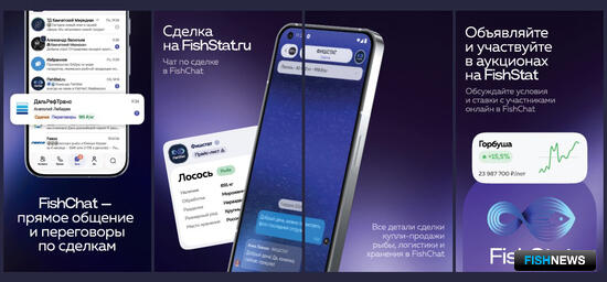 FishStat: нырнем в мир цифрового сервиса для рыбной отрасли