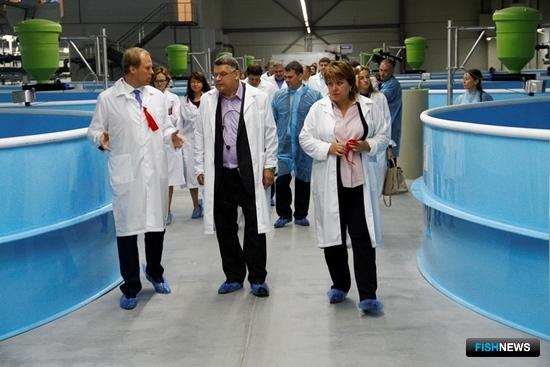 Завод по выращиванию радужной форели открылся в рамках ТОР «Юрга» в Кемеровской области. Фото пресс-службы администрации региона