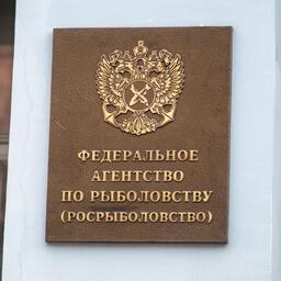 Росрыболовство объявило электронные аукционы на 15 долей квот