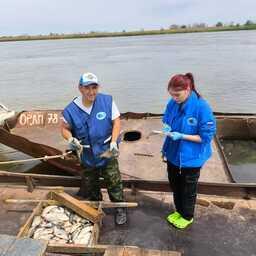 Путину мониторили специалисты КаспНИРХ. Фото пресс-службы филиала