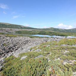 Специалисты Кроноцкого заповедника провели исследования популяций гольцов в озерах на северо-западе Камчатки. Фото пресс-службы учреждения