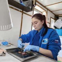 Специалисты проводили полный биологический анализ. Фото пресс-службы КаспНИРХ