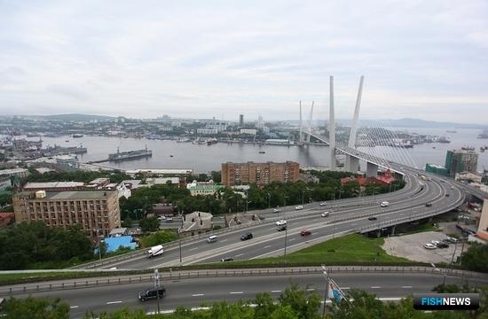 Вид на бухту Золотой Рог. Фото Глеба Ильинского