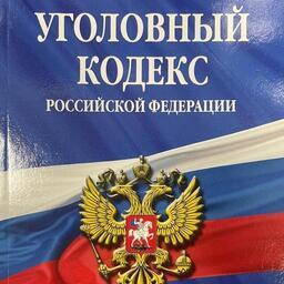 Жителя Черноморского район Республики Крым осудили по части 3 статьи 256 УК РФ