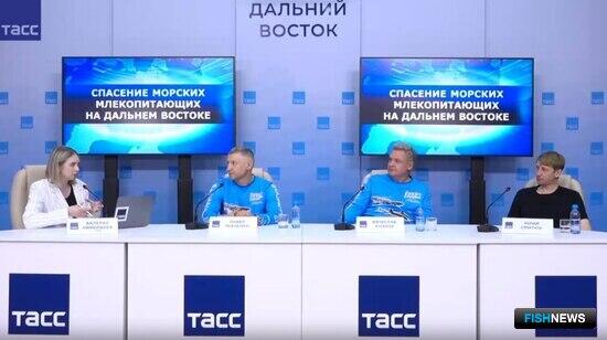 Безответственная рыбалка губит тюленей