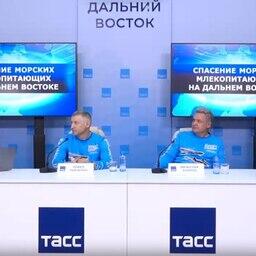 Пресс-конференция по вопросам сохранения морских млекопитающих прошла в региональном информационном центре «ТАСС Дальний Восток». Кадр видео «Вконтакте»