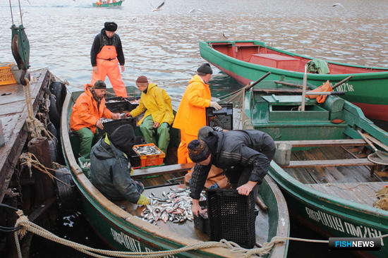 Рыбаки выгружают уловы у побережья Крыма
