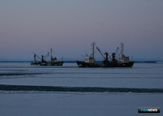 Суда, ведущие зимний промысел у берегов Сахалина