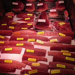 Тунцовое мясо японского производства. Фото из архива Fishnews