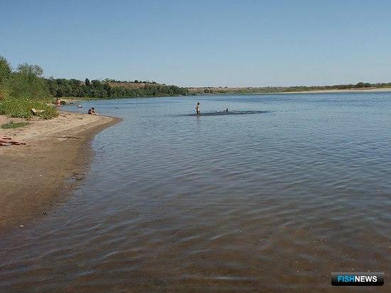 Рыбалка на Ахтубе