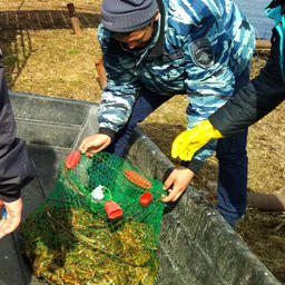 Полиция и рыбоохрана вернула раков в Каму. Фото пресс-службы МВД РФ