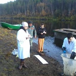 Студенты оценивали качество лососевых производителей. Фото пресс-центра МГТУ