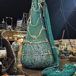 Научное судно «Атлантида» провело новые траловые съемки в водах Марокко. Фото пресс-службы ВНИРО