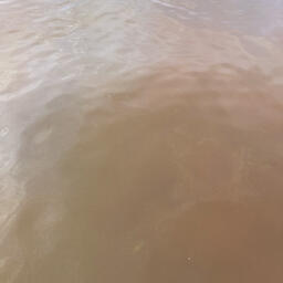 Пятна красной воды в бухте Раковая. Фото пресс-службы КамчатНИРО