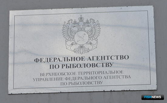 Торги: озеро на Кузбассе предлагают под пастбище для рыбы
