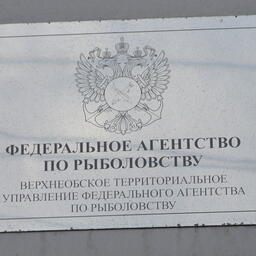 Торги организует Верхнеобское теруправление Росрыболовства. Архивное фото